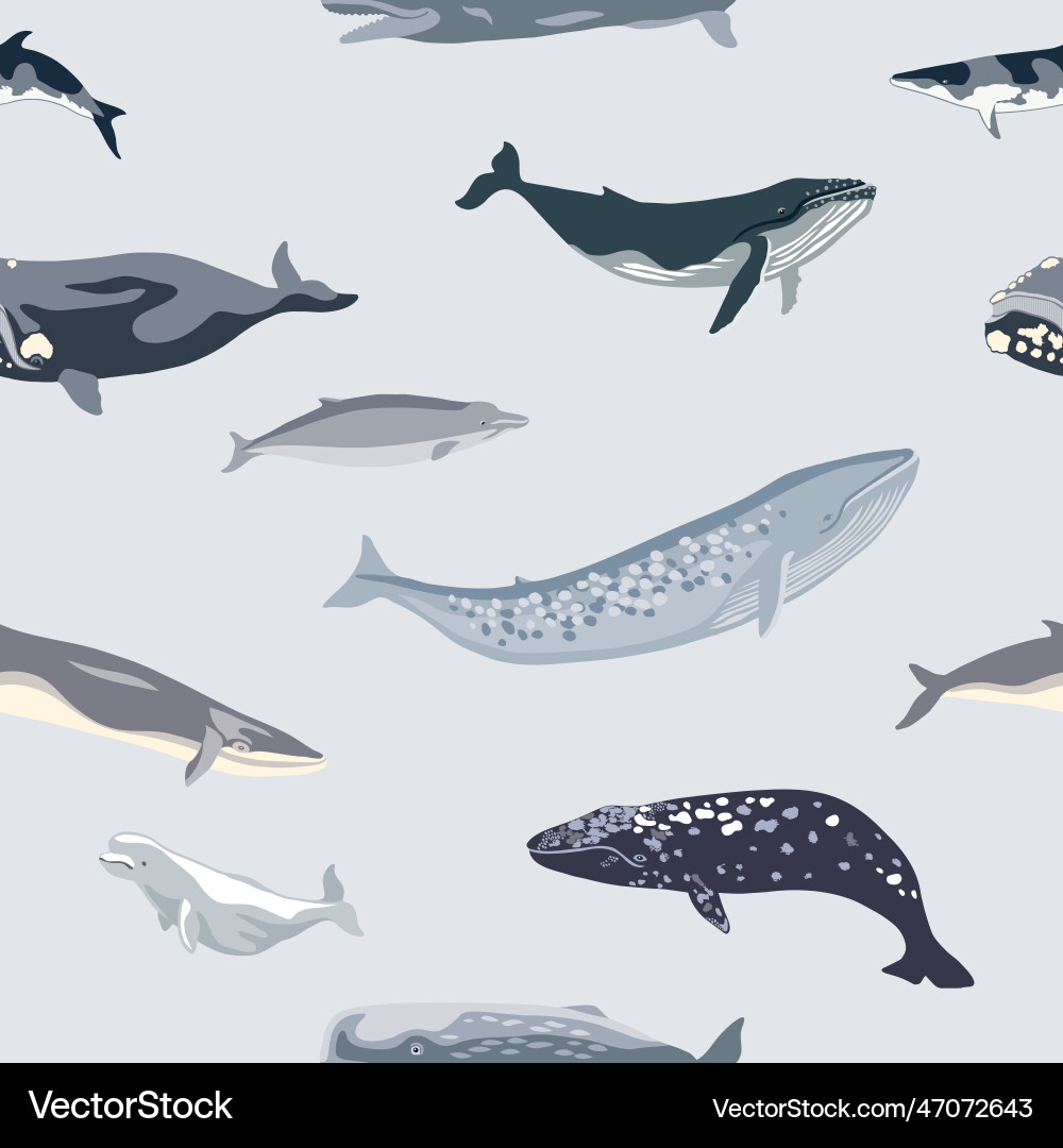 Simple seamless pattern with different whales vector image