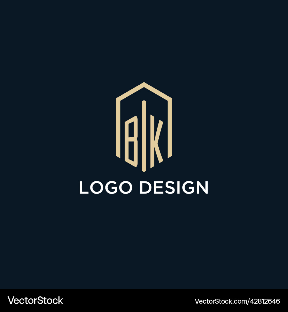 Bk initial monogram logo with hexagonal shape Bk initial monogram logo with hexagonal shape vector image