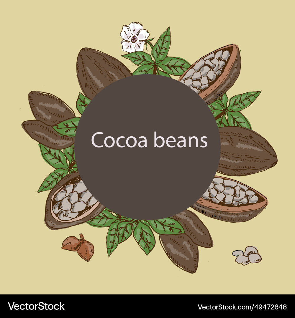Cocoa beans background with round frame Cocoa beans background with round frame vector image