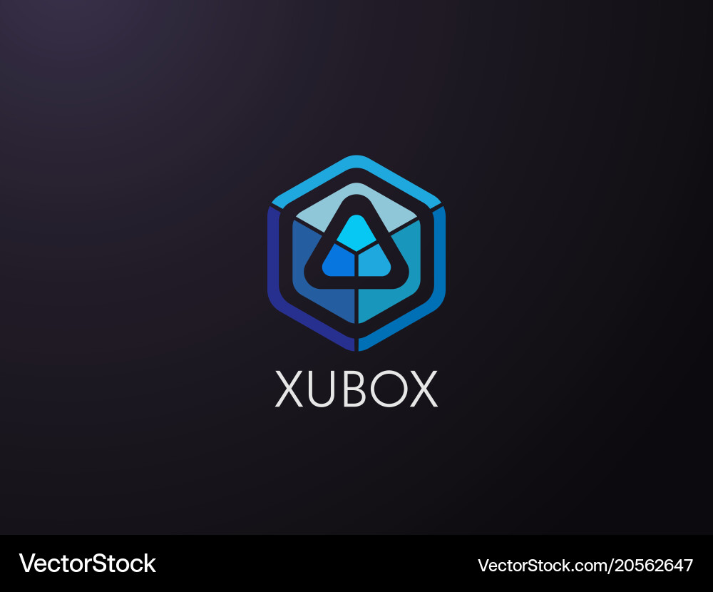 Abstract geometric triangle in hexagonal cube box Vector Image