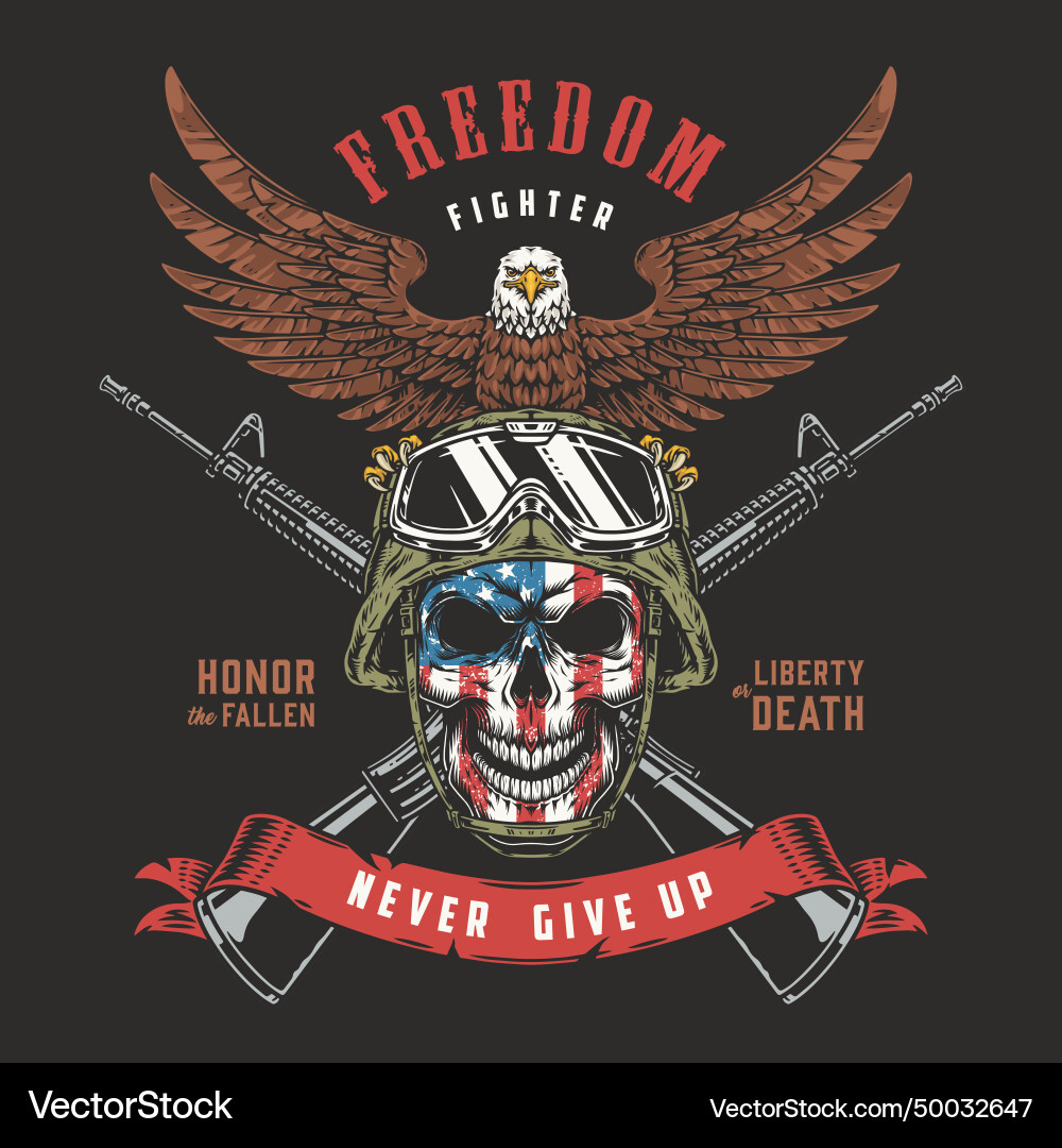 American fighter colorful vintage sticker Vector Image