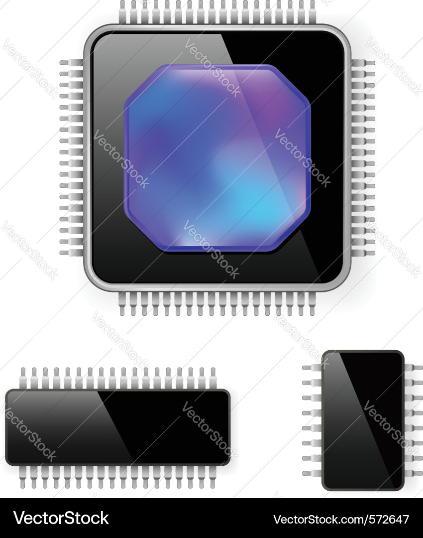 Microchip Circuit Board vector image