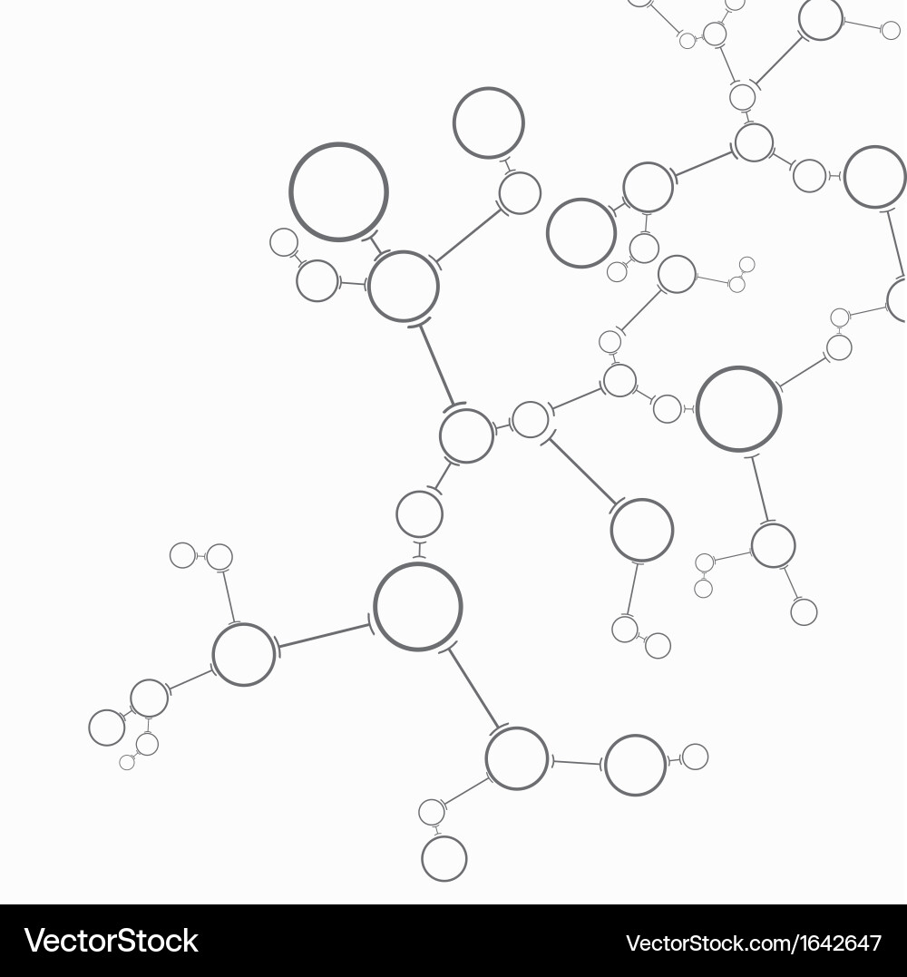 Network Connection Data Visuals vector image
