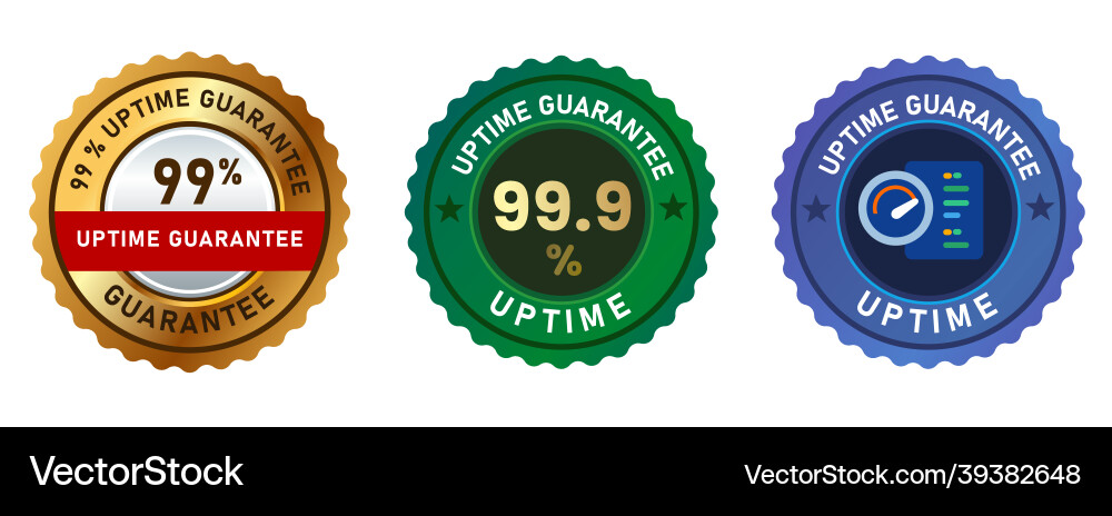 Uptime guarantee 99 percent server web hosting vector image