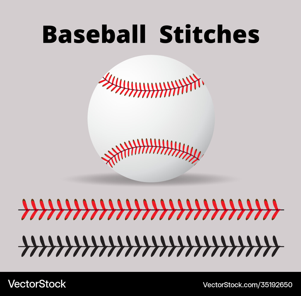 Baseball stitches on a white background design Vector Image