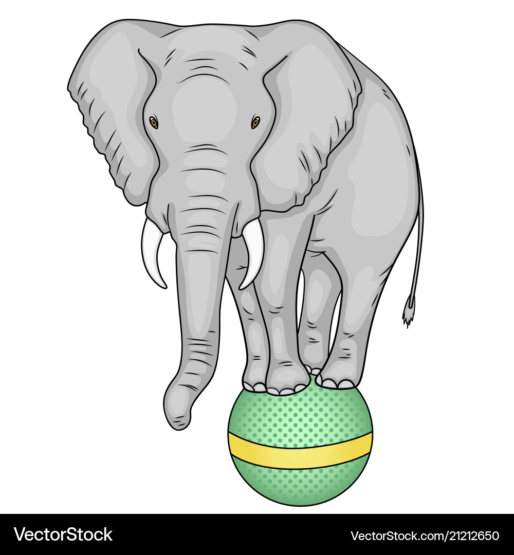 Isolated object on white background a circus Isolated object on white background a circus vector image