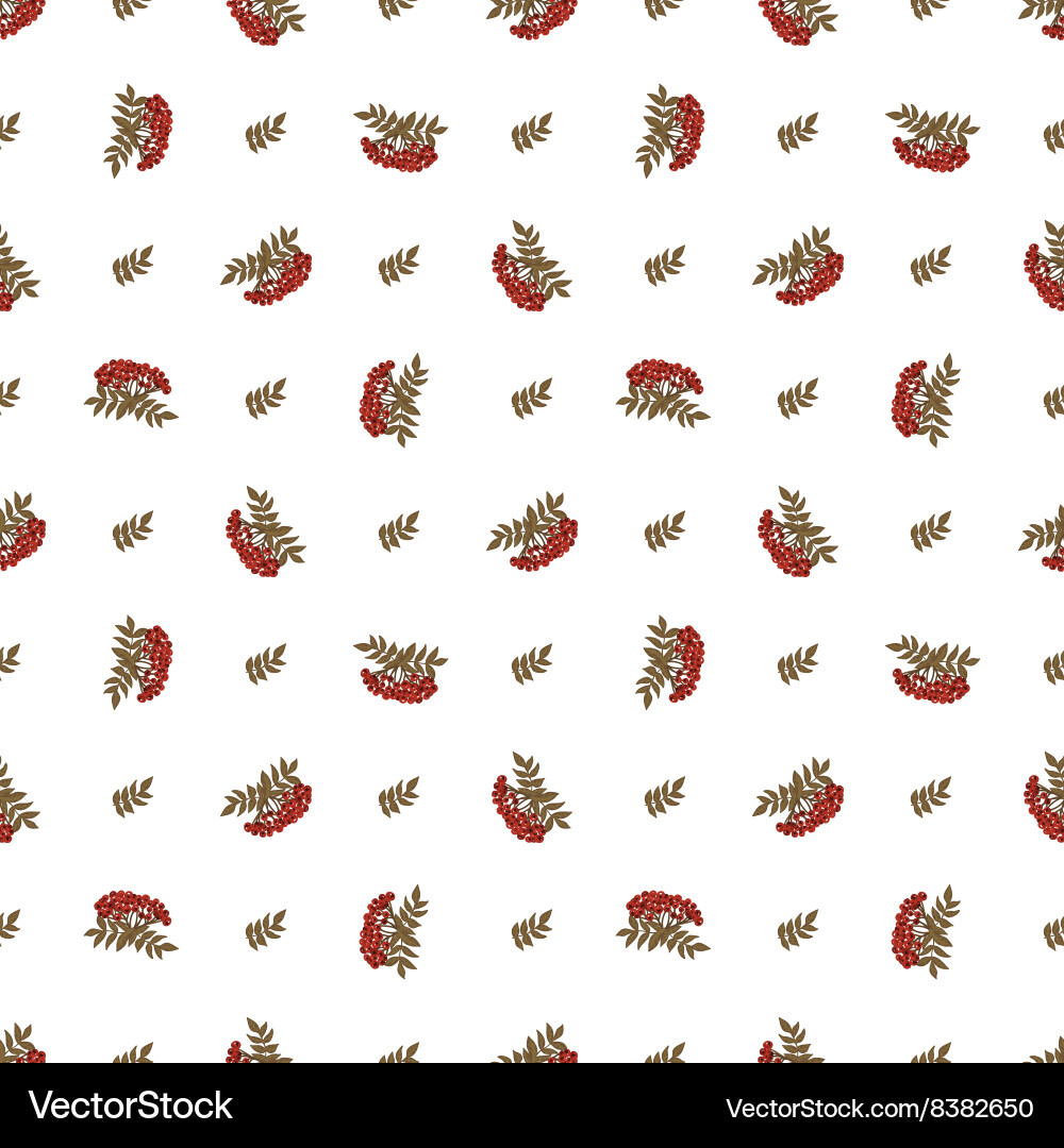 Seamless pattern with rowan and leaves vector image