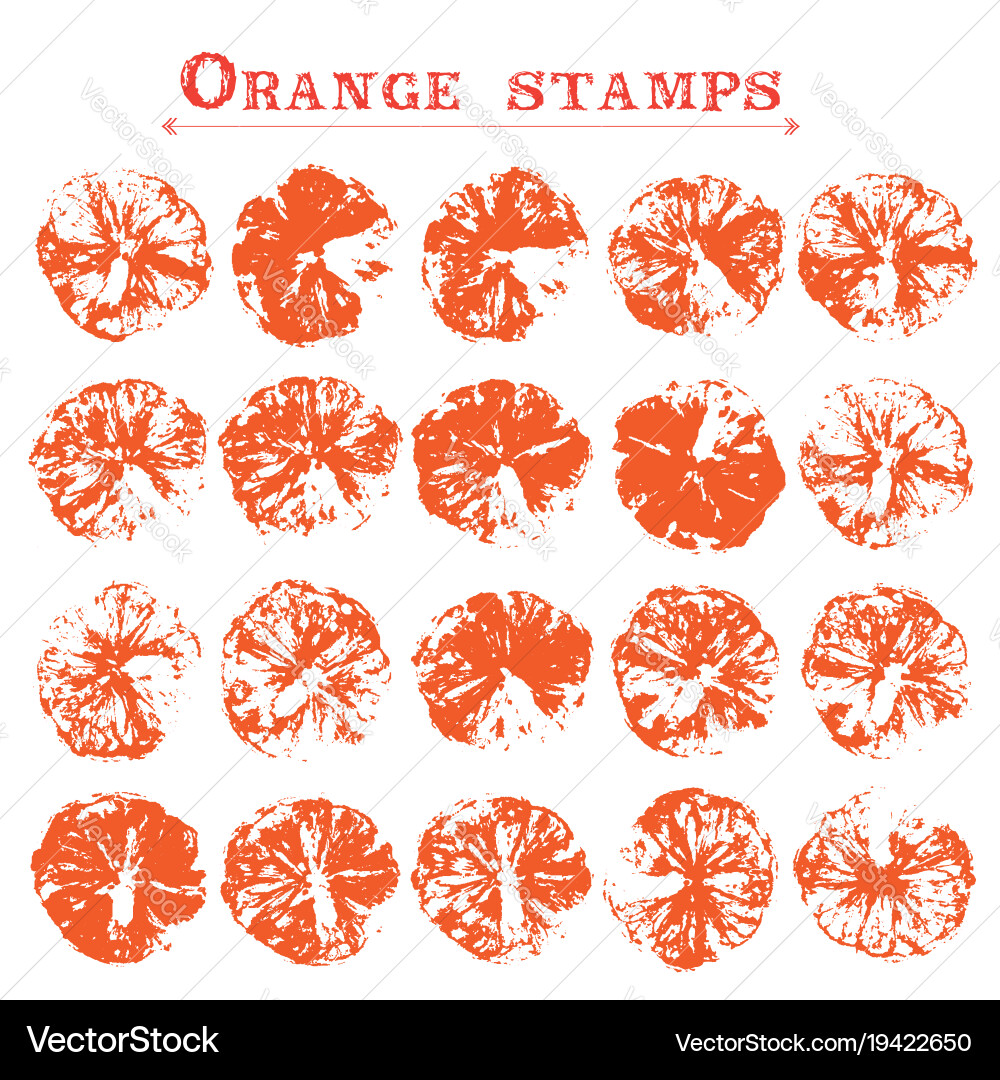 Set aus Orangen-Fruchtmarken auf Papier Vektorbild