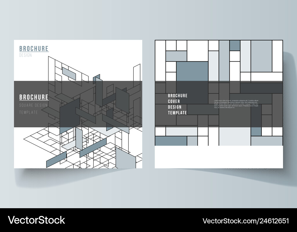 Minimal layout of two square format Minimal layout of two square format vector image