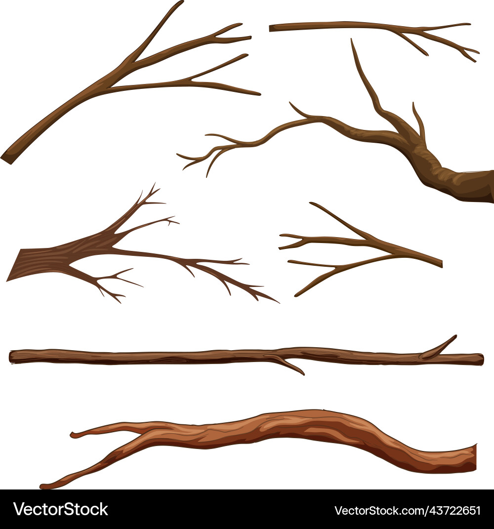 Set of different tree branches isolated vector image