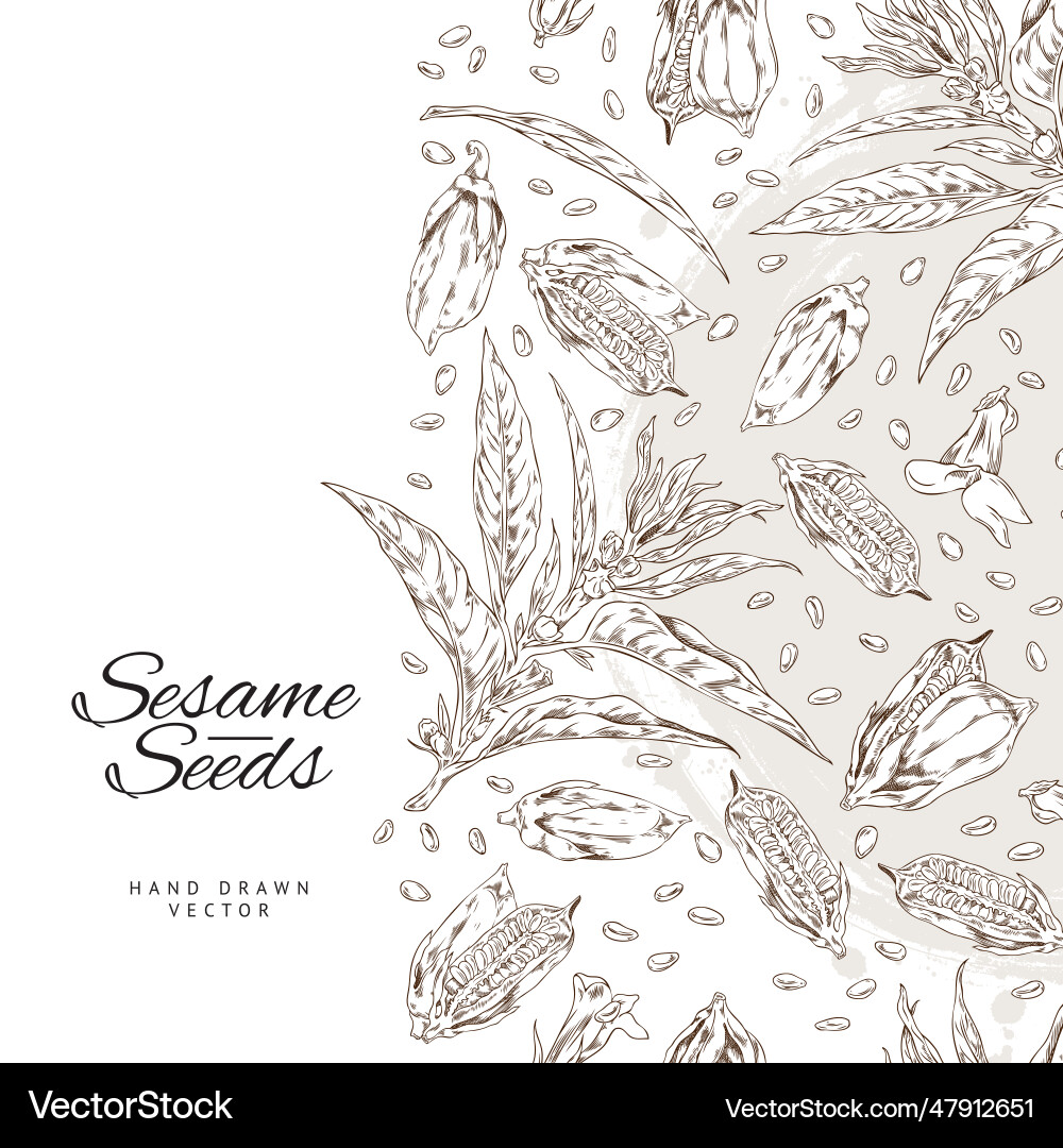 Template background with outline sketch Vector Image