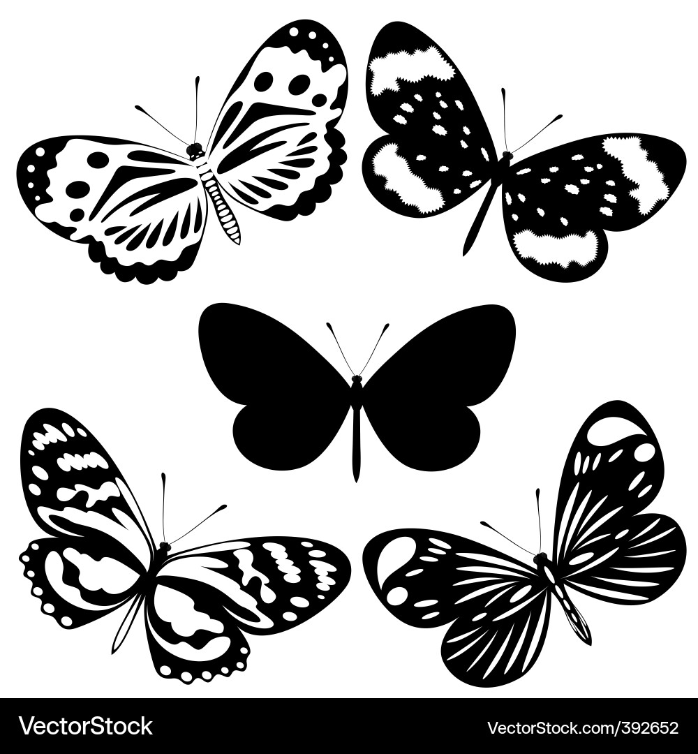 Black and White Butterfly Collection Vector Image