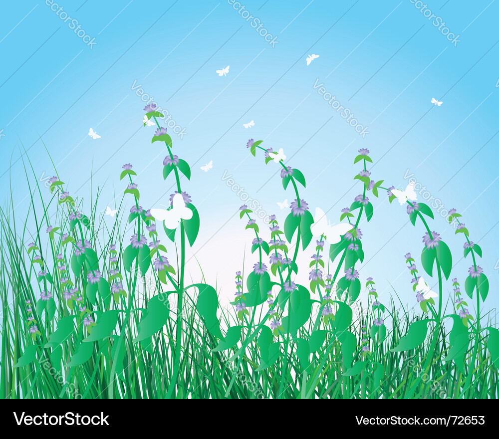 Grass background Royalty Free Vector Image - VectorStock