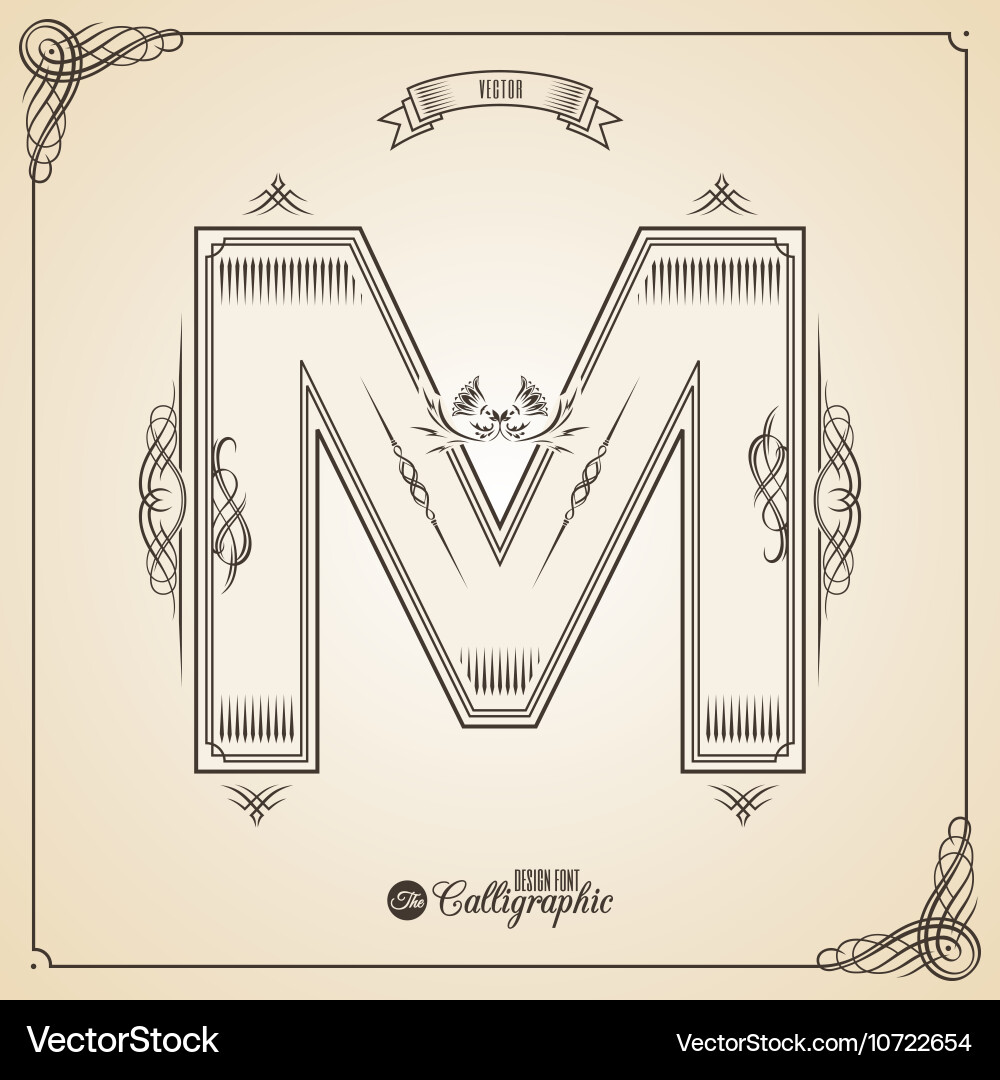 Calligraphic fotn with border frame elements vector image