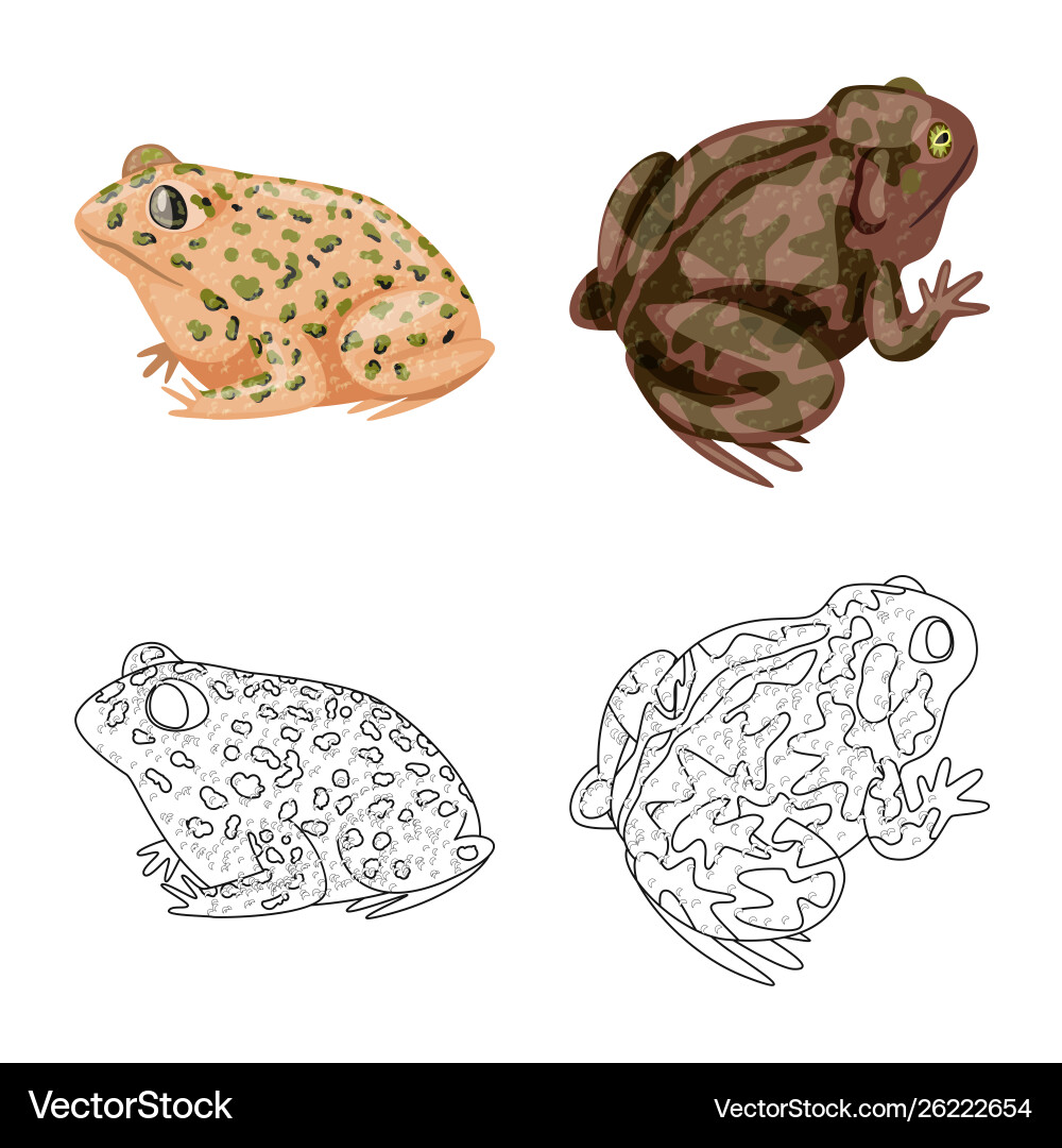 Isolated object wildlife and bog icon set Vector Image