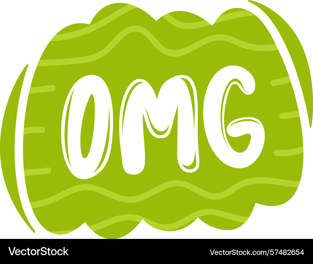 Omg text message speech bubble vector image