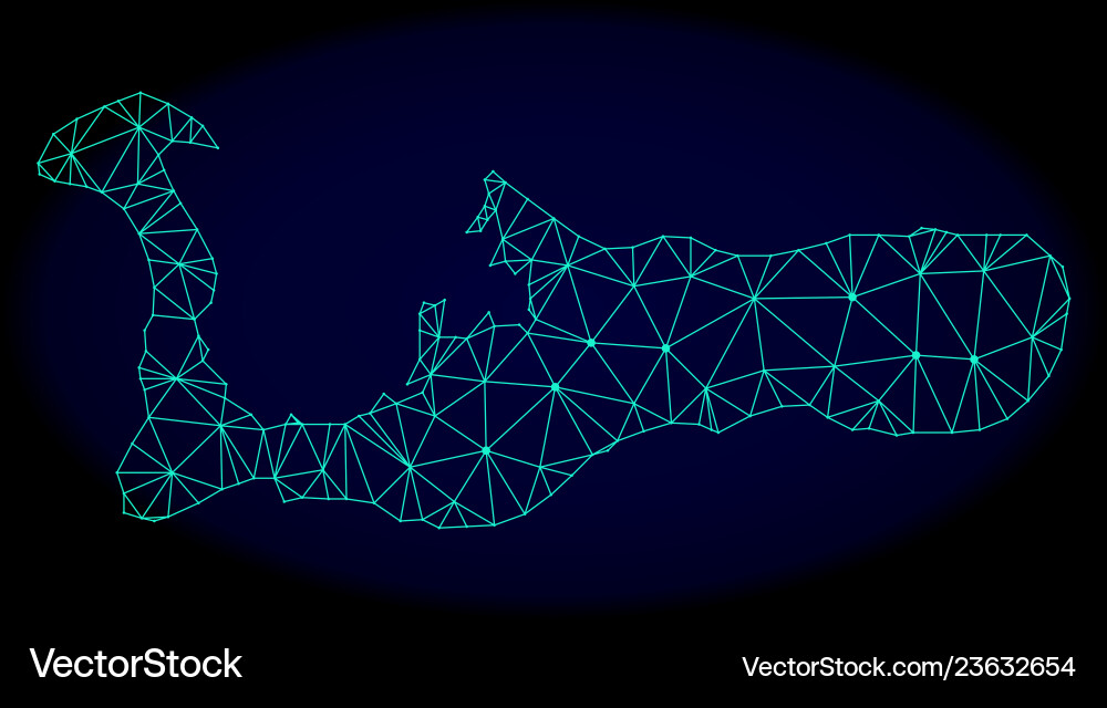Polygonal network mesh abstract map Polygonal network mesh abstract map vector image