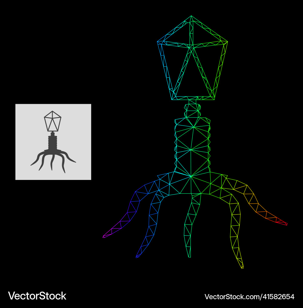 Spectrum gradiented polygonal net virus icon Spectrum gradiented polygonal net virus icon vector image