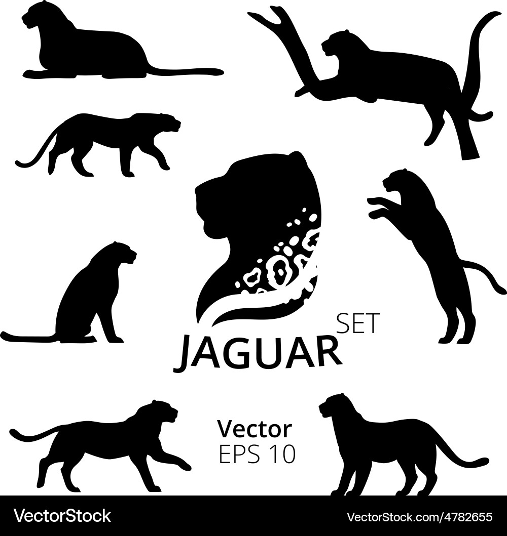 Jaguar Silhouettes - Animal Set vector image