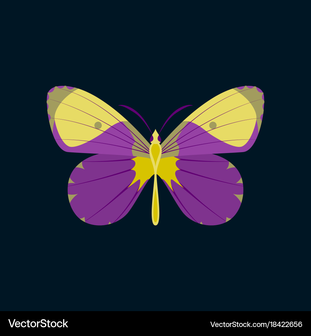 Colorful icon of butterfly isolated on dark blue Vector Image