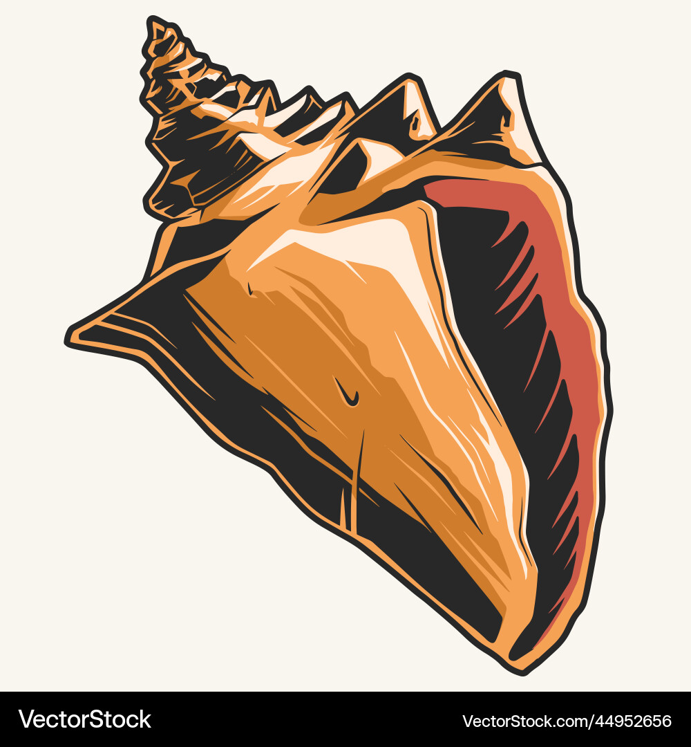 Empty seashell detailed colorful element Empty seashell detailed colorful element vector image