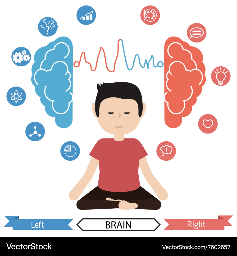 Left and right brain functions Royalty Free Vector Image