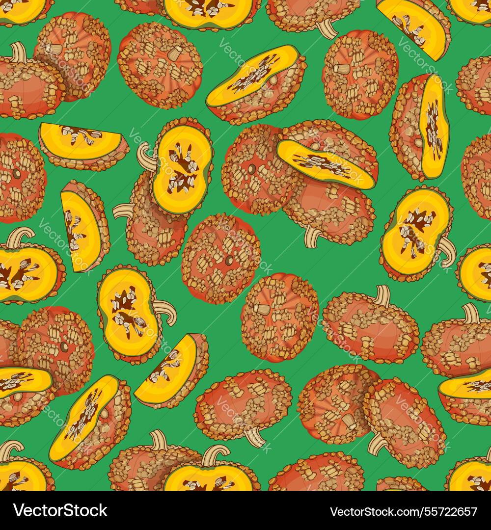 Seamless pattern with galeux de eysines squash Seamless pattern with galeux de eysines squash vector image