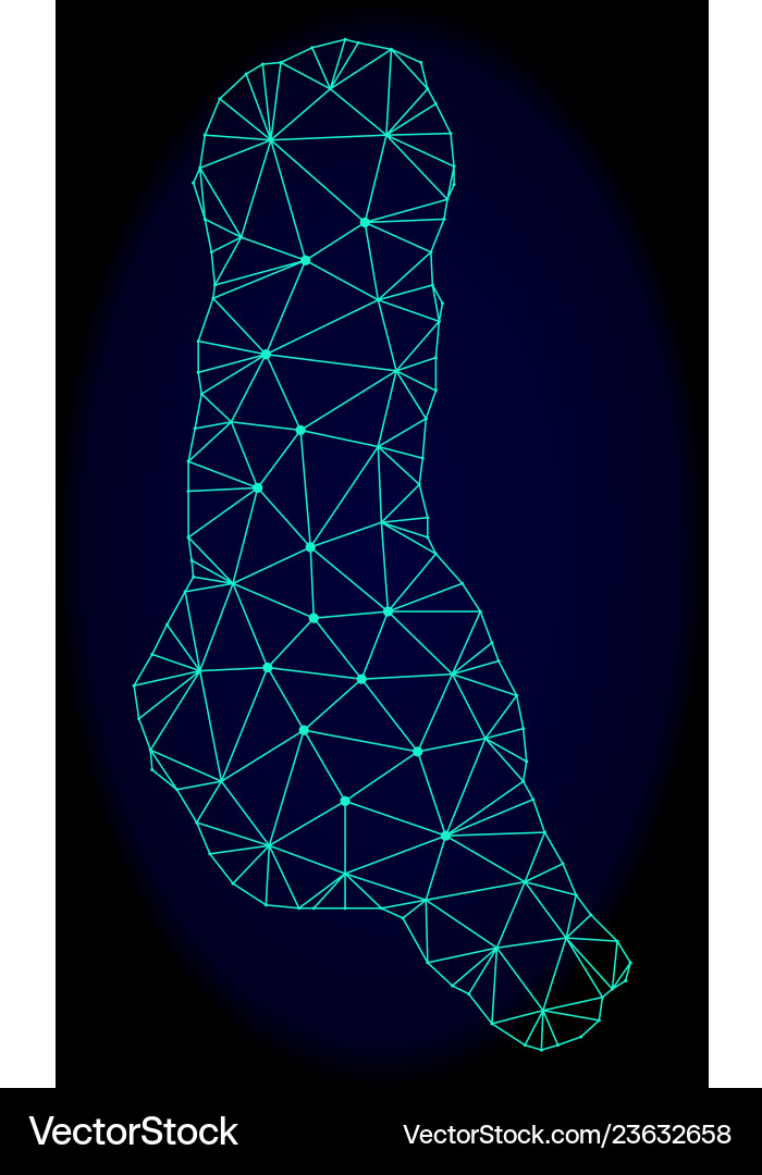 Polygonal network mesh abstract map Polygonal network mesh abstract map Vector Image