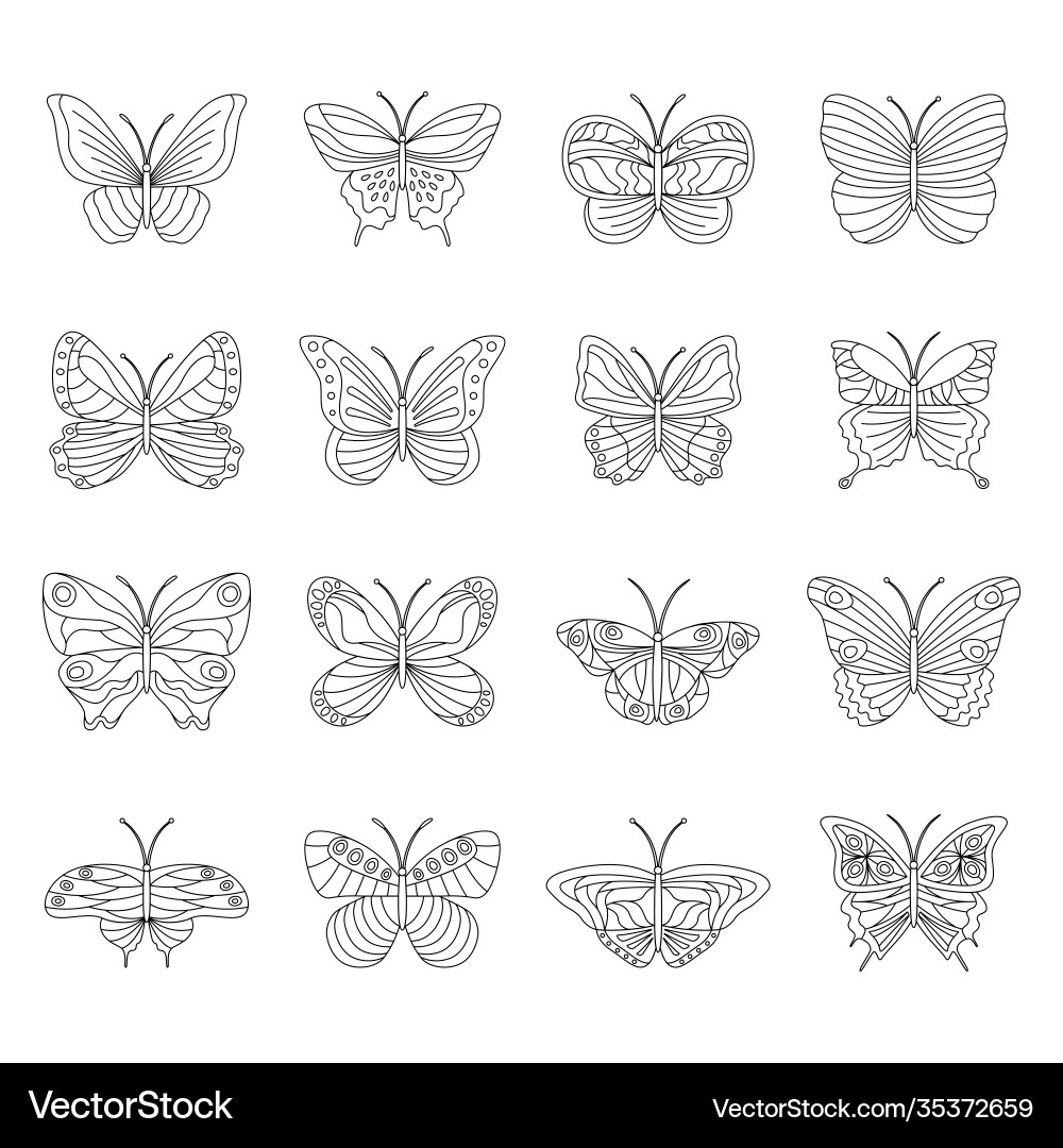 Black and White Butterfly Set vector image