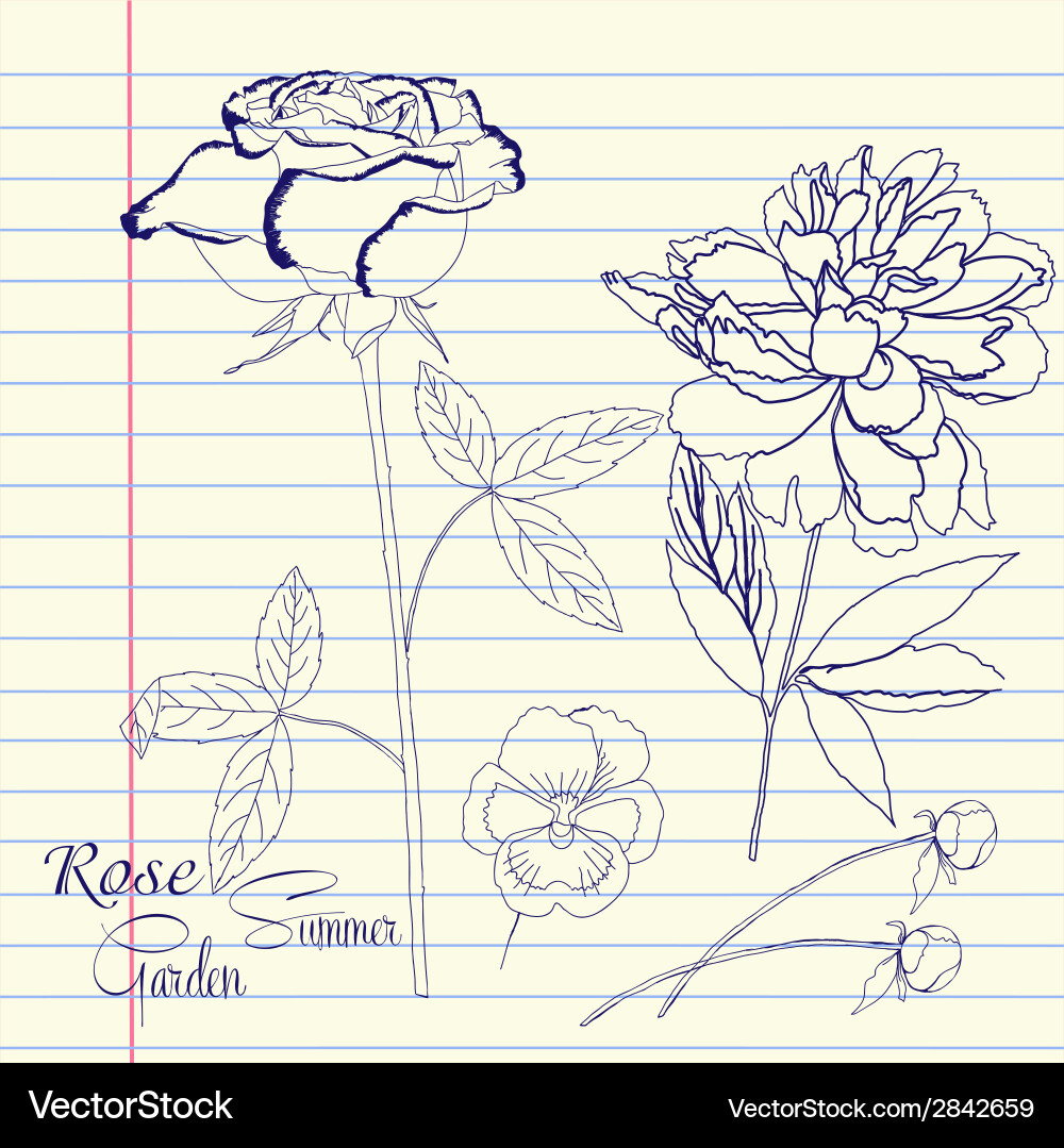 Notebook set with peony and rose vector image