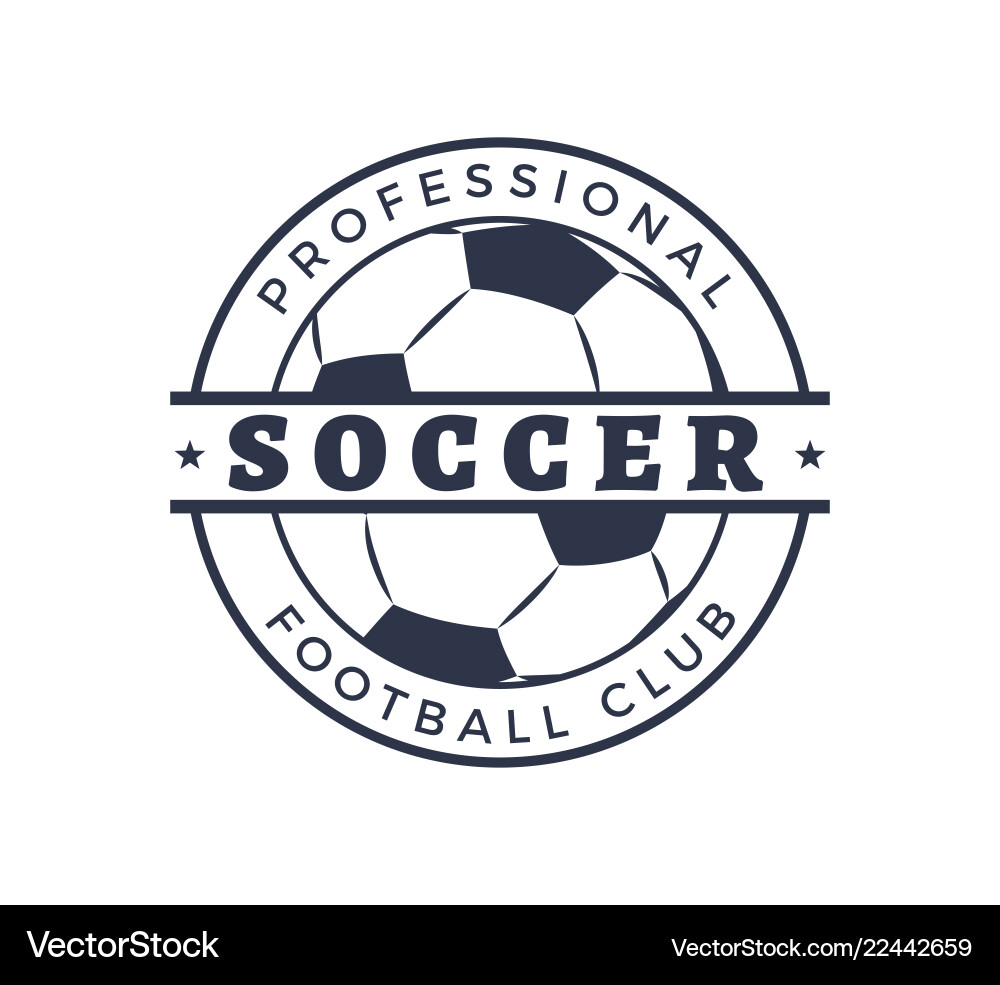 Professional soccer football club badge closeup Professional soccer football club badge closeup vector image