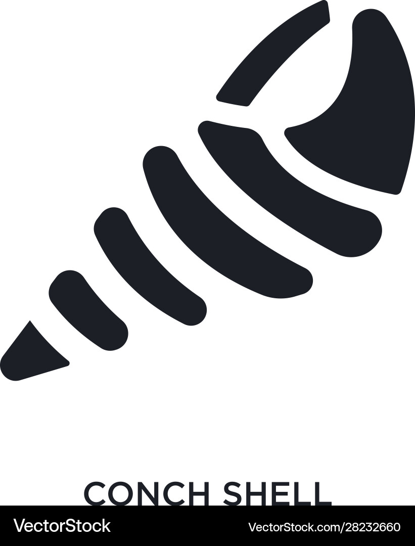 Black conch shell isolated icon simple element vector image