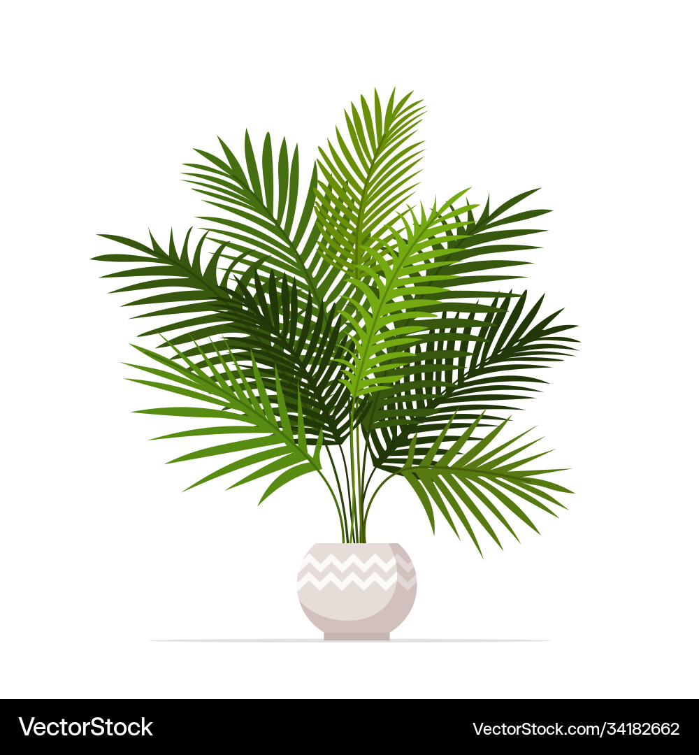 Decorative houseplant planted in ceramic pot Decorative houseplant planted in ceramic pot vector image