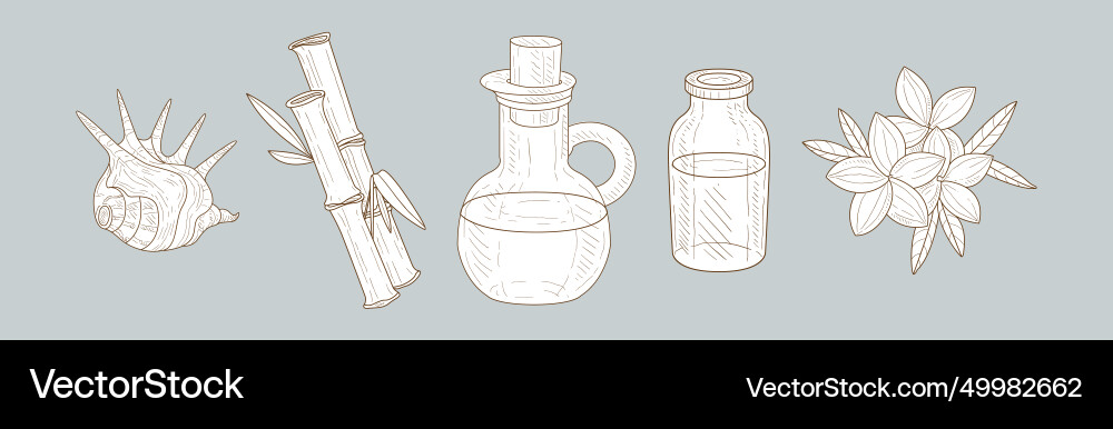 Hand drawn spa attribute and sketch element Vector Image