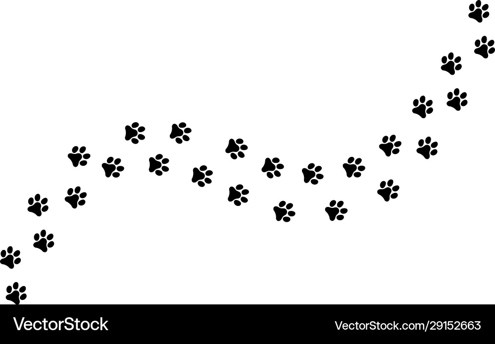 Paw Fuß Trail Print Katze Hund Silhouette Tier Paw Fuß Trail Print Katze Hund Silhouette Tier vektorbild