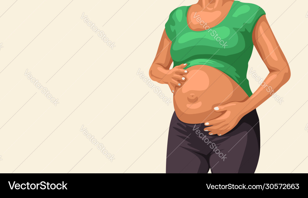 Pregnant woman belly on white Pregnant woman belly on white vector image