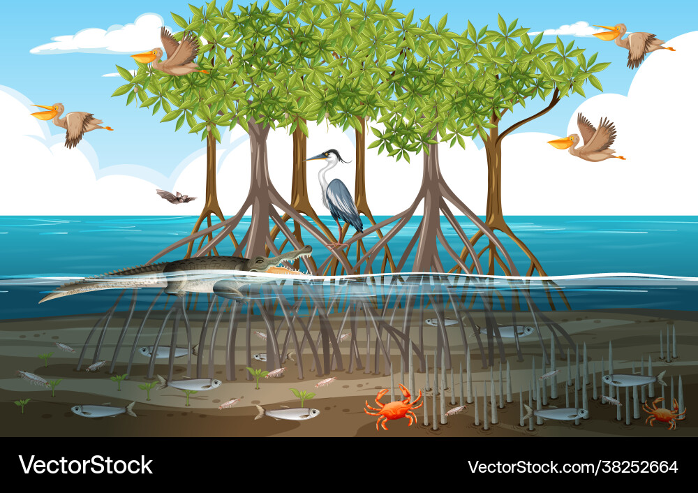 Mangrove Waldszene tagsüber mit Tieren Mangrove Waldszene tagsüber mit Tieren vektorbild