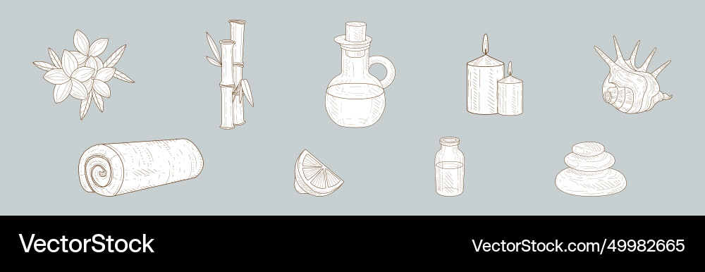 Hand drawn spa attribute and sketch element Vector Image