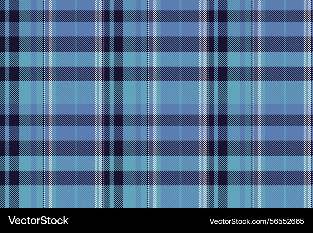 Product texture background latin pattern check Vector Image