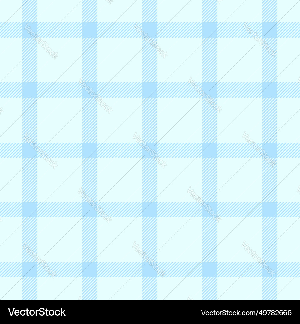Presentation textile check plaid form pattern Presentation textile check plaid form pattern vector image