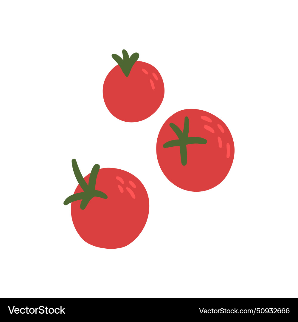 Red tomatoes Royalty Free Vector Image - VectorStock