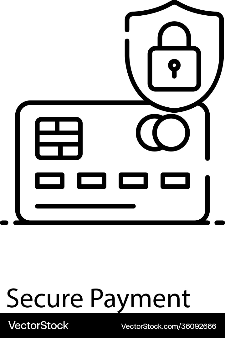 Secure payment vector image