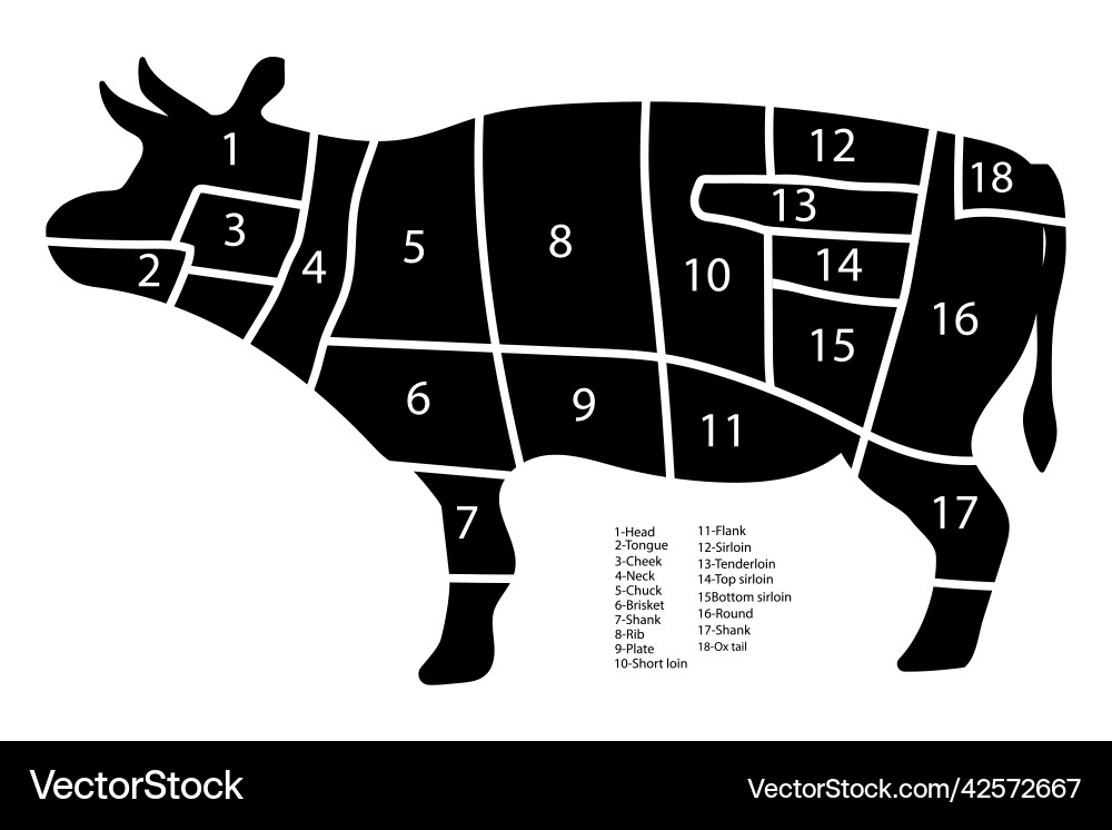 Bull slicing scheme chart with numbers Bull slicing scheme chart with numbers vector image
