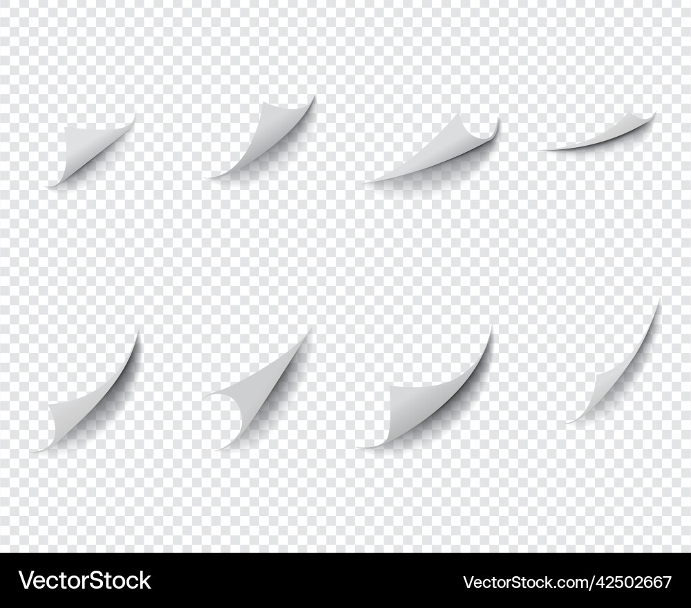 Curl and bent papers sheet with realistic shadow vector image