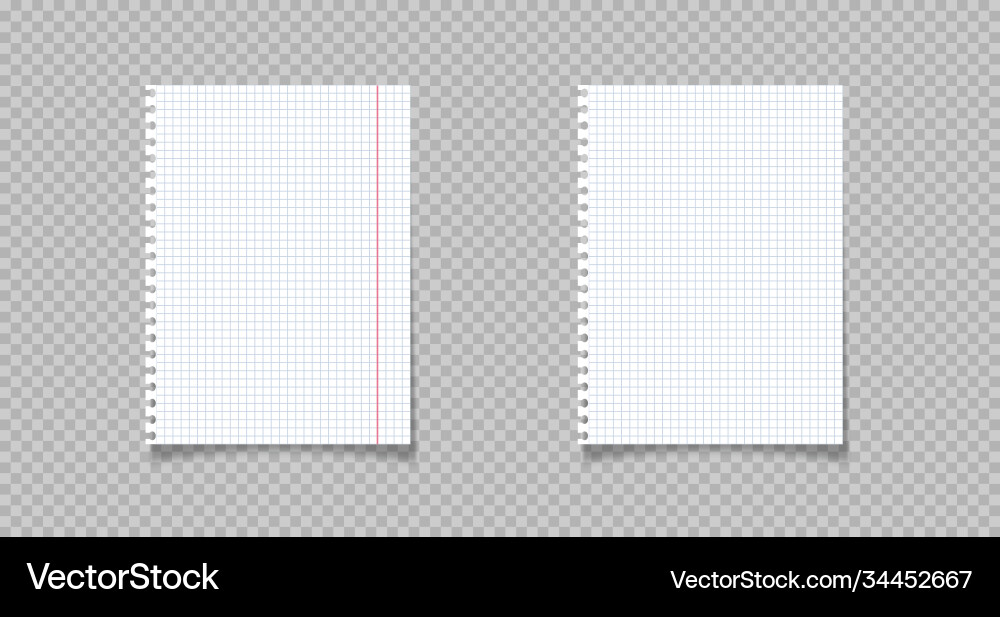 Notebook paper on transparent background Notebook paper on transparent background vector image