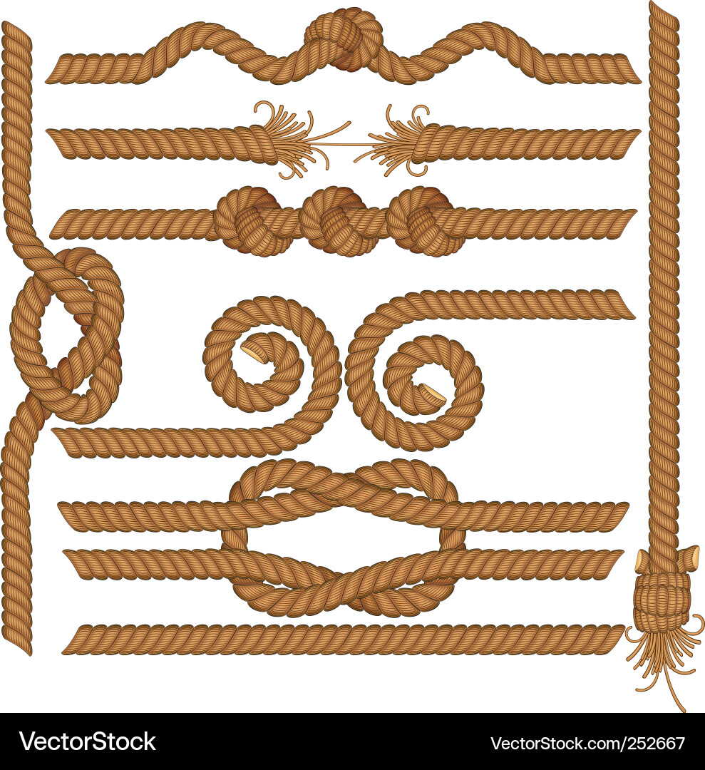 Rope Borders & Knots Vector Image