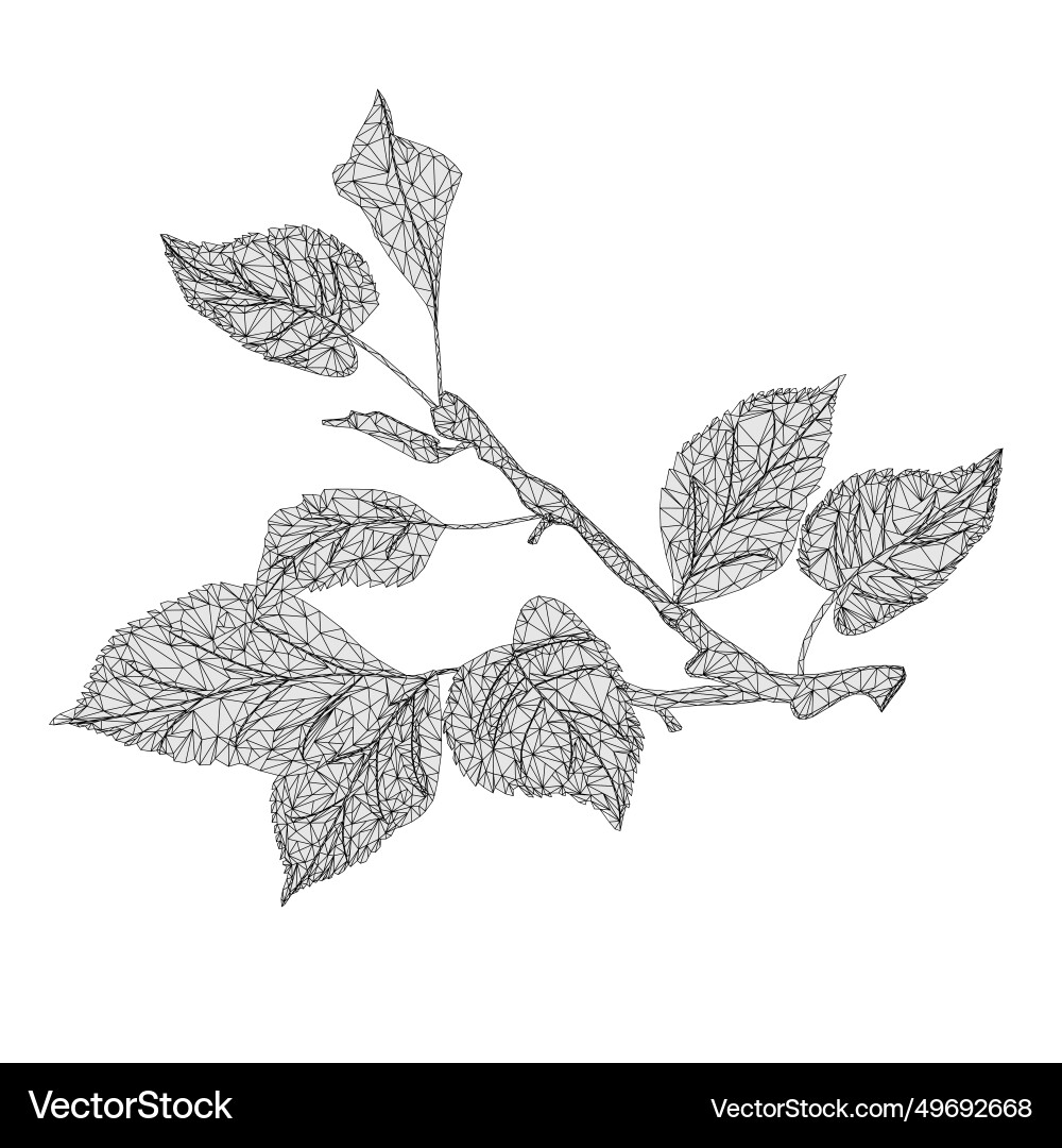 Branch of apple tree outline low-polygon Branch of apple tree outline low-polygon vector image