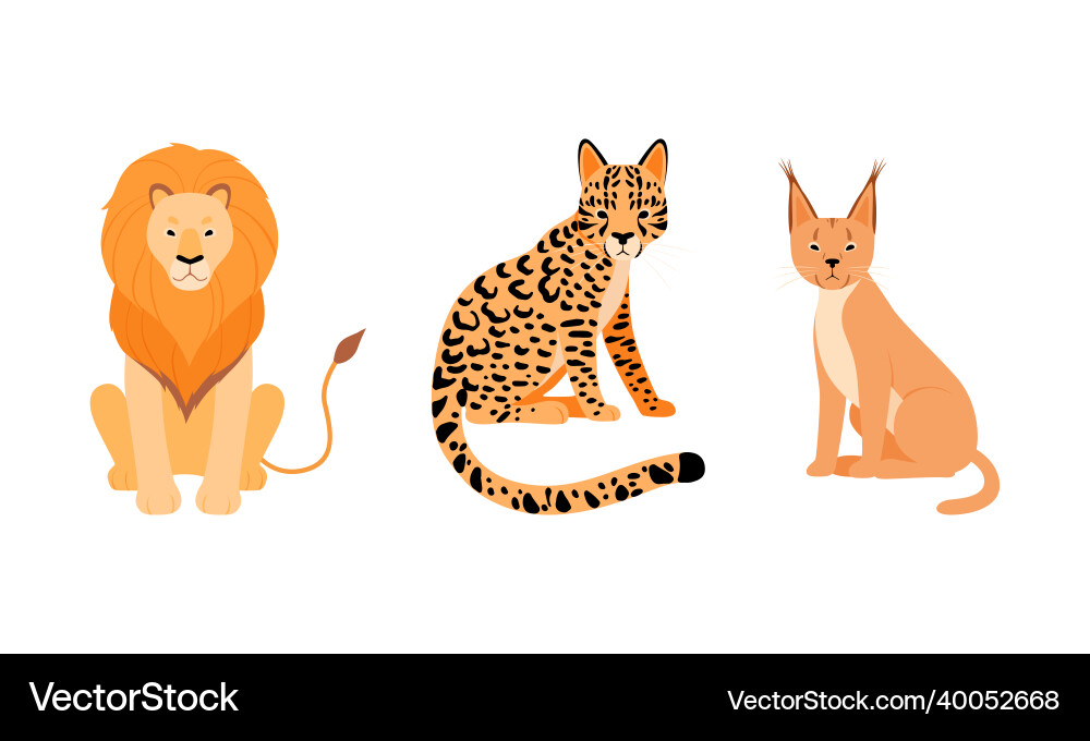 Felid or wild cat as carnivore animal with lion Felid or wild cat as carnivore animal with lion vector image