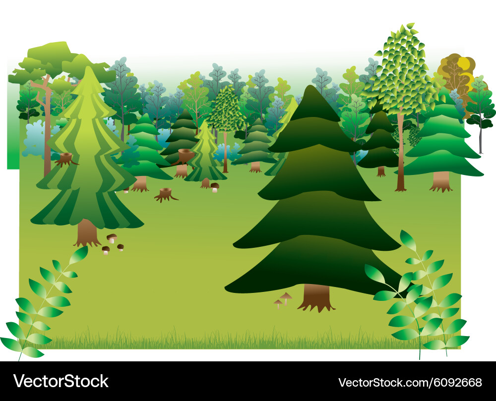Green forest with different types of trees vector image