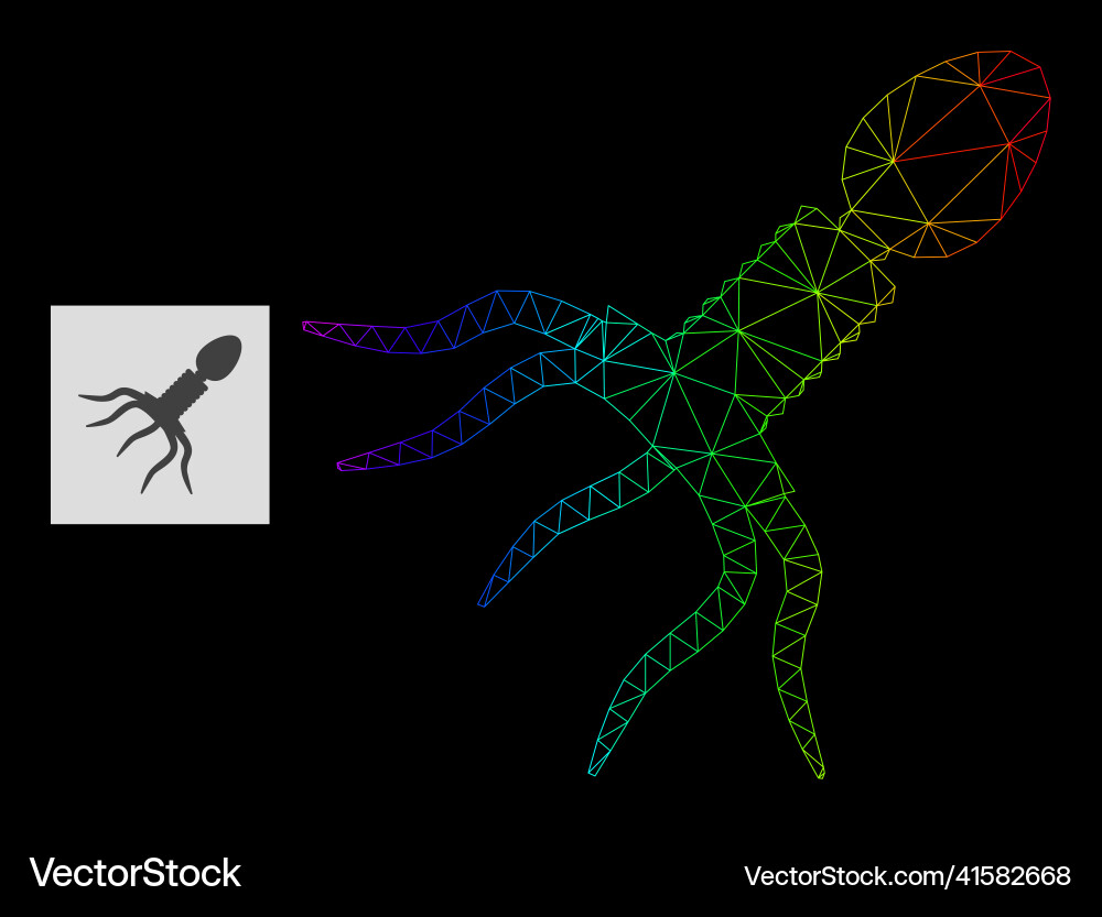 Spectrum gradient polygonal net virus structure Spectrum gradient polygonal net virus structure vector image